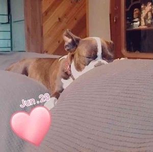 Meet your Posher, Dana